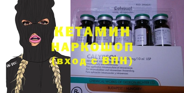 шишки Арсеньев