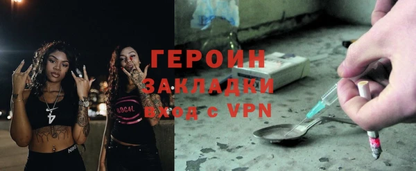 шишки Арсеньев