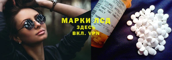 шишки Арсеньев