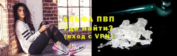 шишки Арсеньев