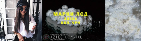 шишки Арсеньев