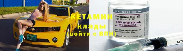 шишки Арсеньев
