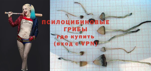 каннабис Аркадак