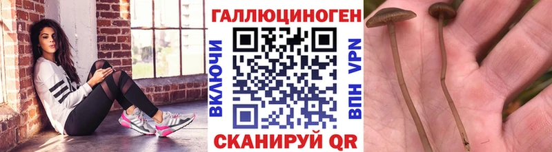 Псилоцибиновые грибы Magic Shrooms  ссылка на мегу маркетплейс  Луга 